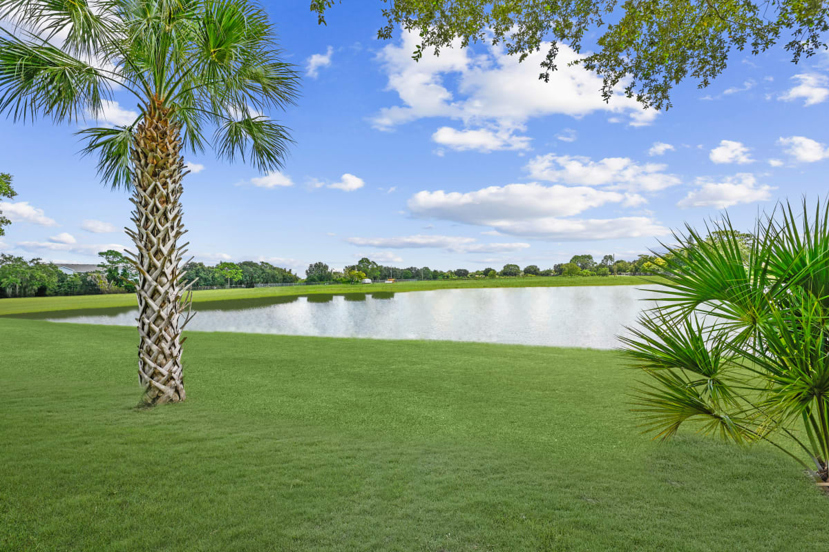 Photos and Video of Commander Place Apartment Homes in Orlando, FL